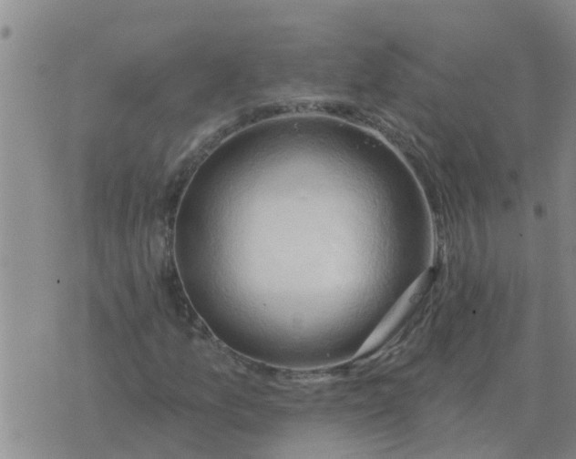 X0000074341157200609082050