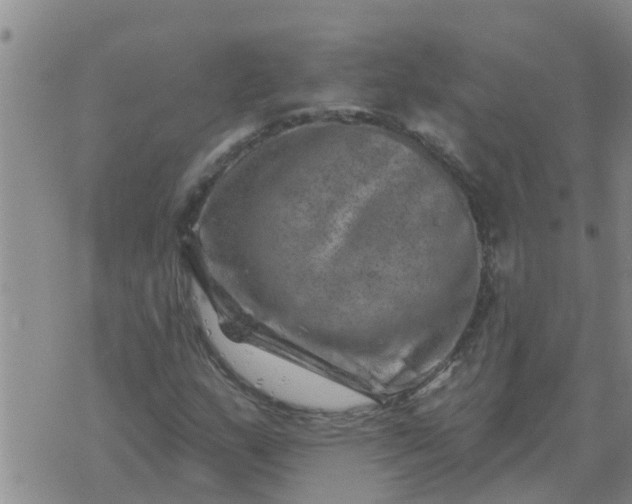 X0000074341159200609082050