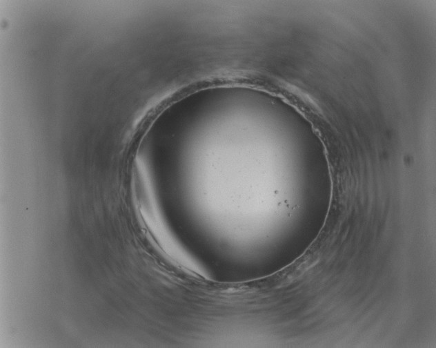 X0000074341160200609082050