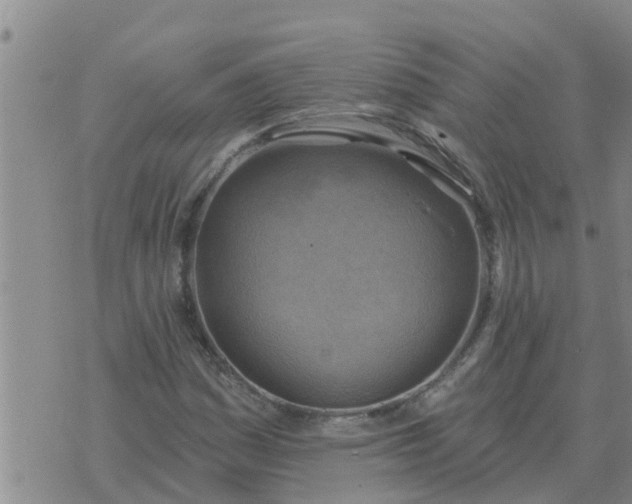 X0000074341161200609082050