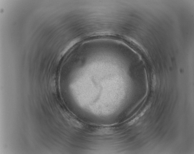 X0000074341162200609082050