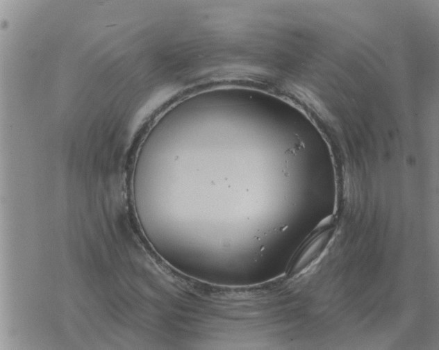 X0000074341164200609082050