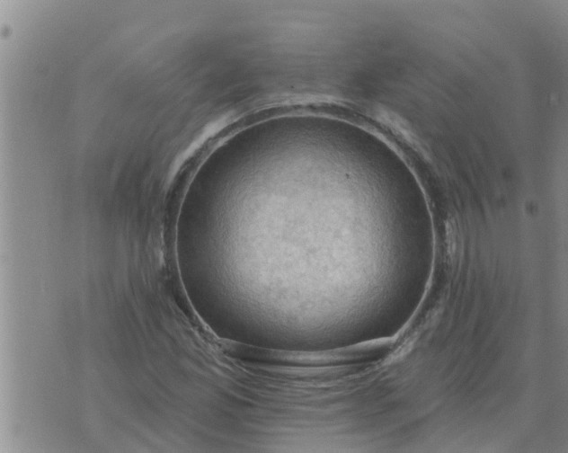 X0000074341165200609082050