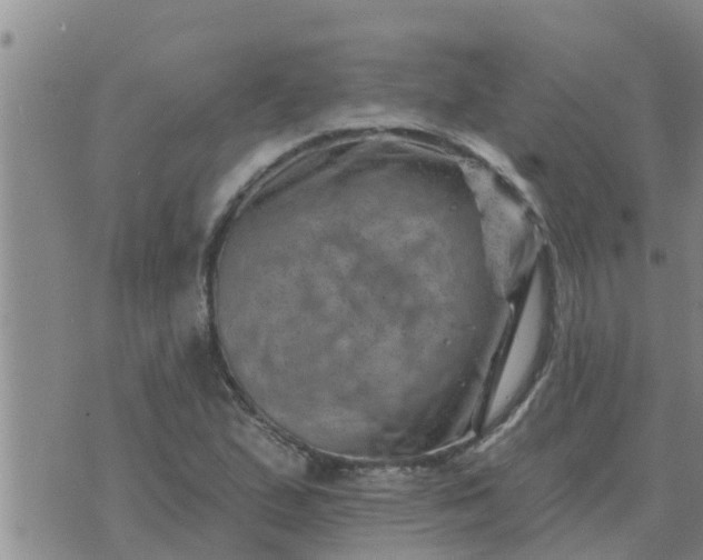 X0000074341167200609082050