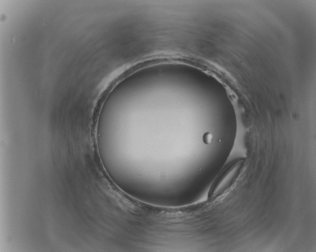 X0000074341168200609082050