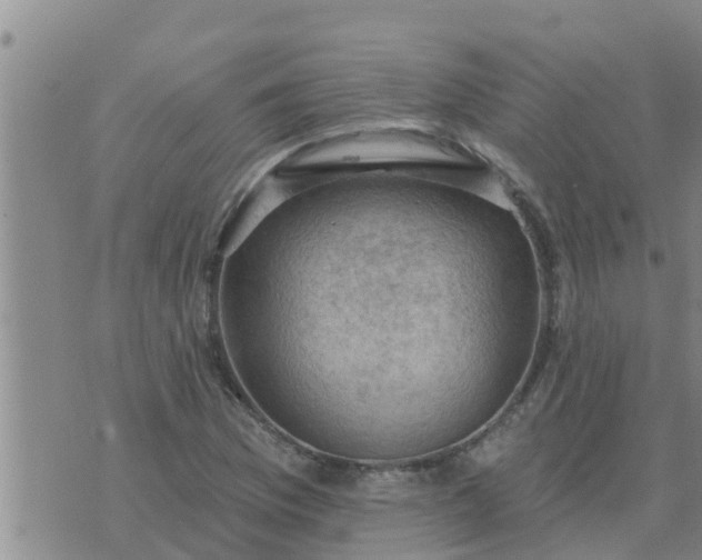 X0000074341169200609082050