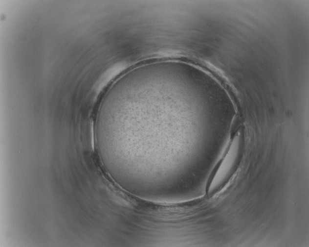 X0000074341171200609082050