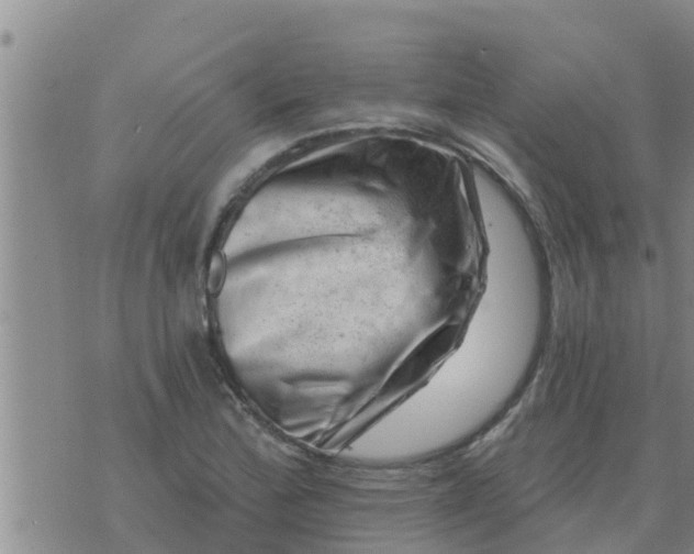 X0000074341172200609082050