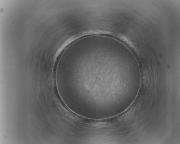 X0000074341173200609082050