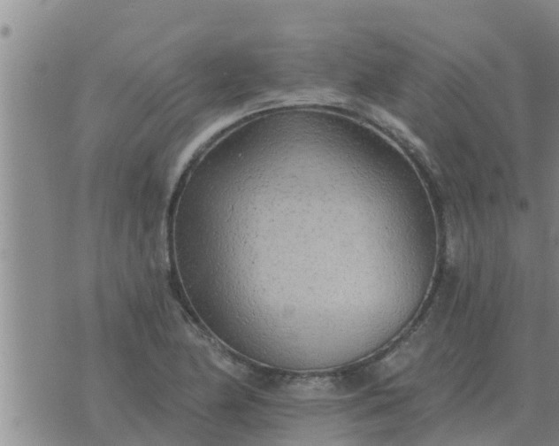 X0000074341174200609082050