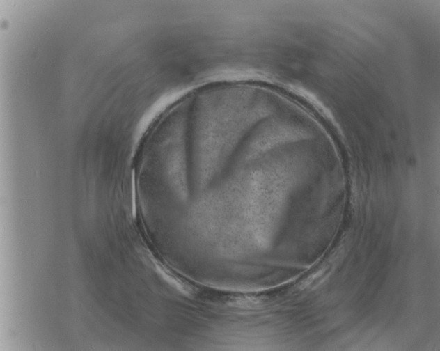 X0000074341175200609082050