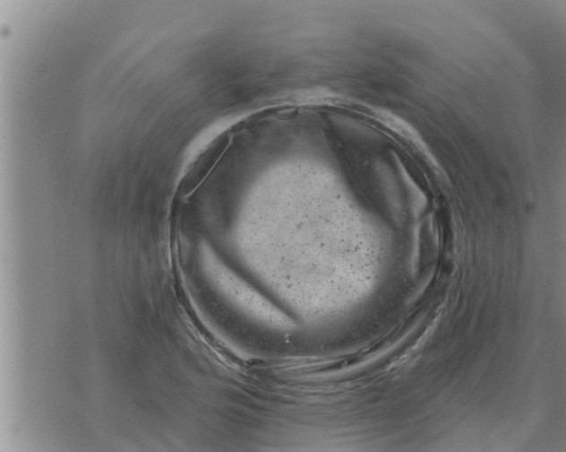 X0000074341176200609082050