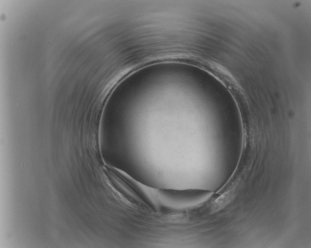 X0000074341177200609082049