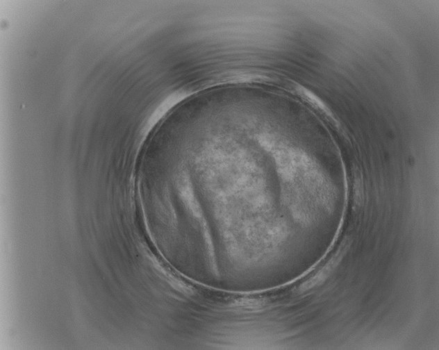 X0000074341178200609082049