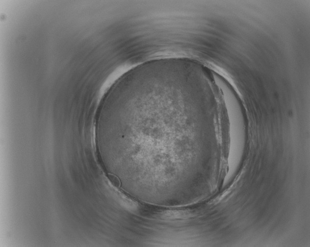 X0000074341179200609082049