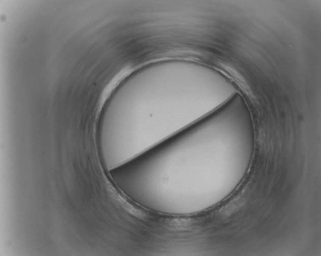 X0000074341180200609082049