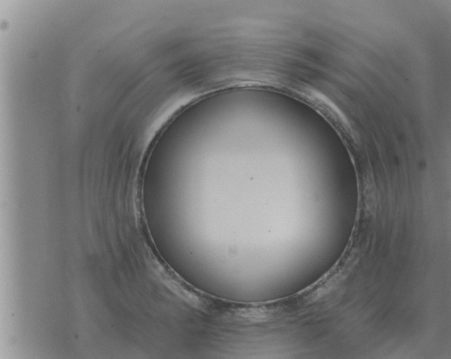 X0000074341182200609082049