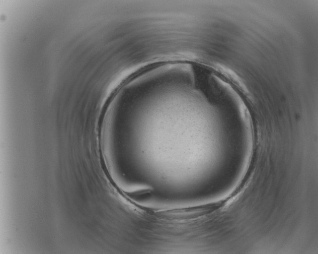 X0000074341184200609082049