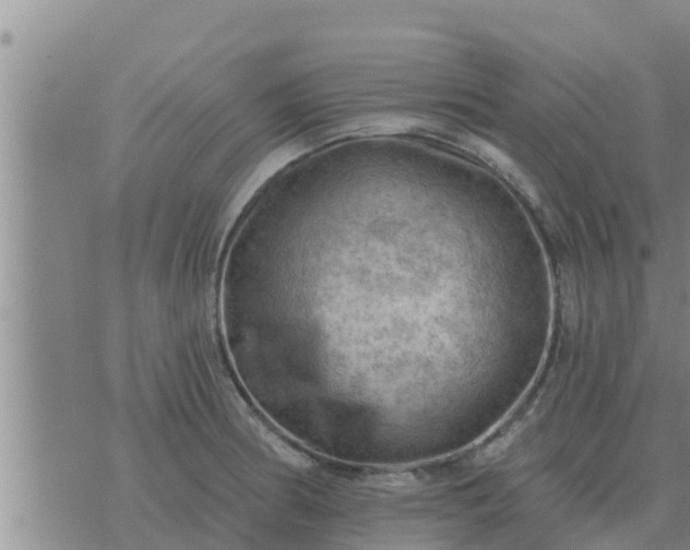 X0000074341186200609082049