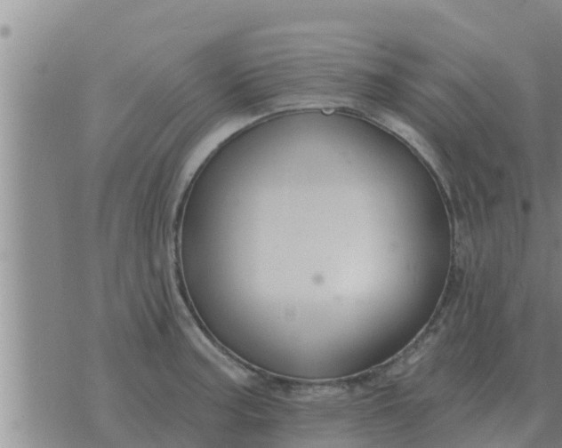 X0000074341187200609082049