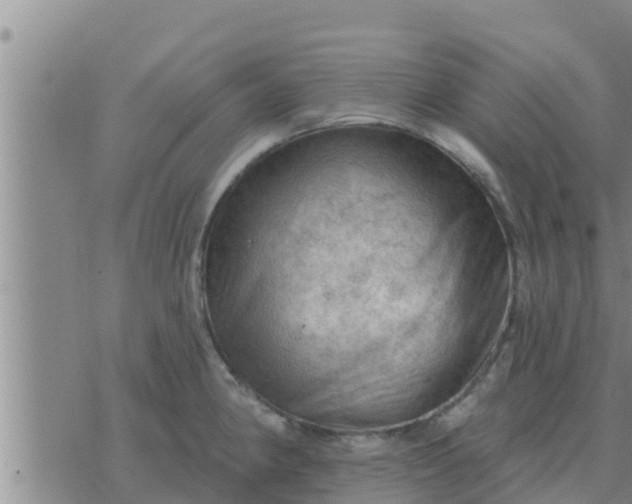 X0000074341190200609082049