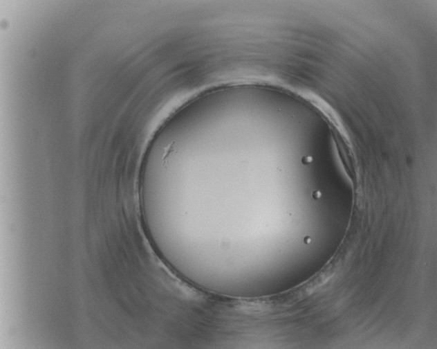 X0000074341191200609082049