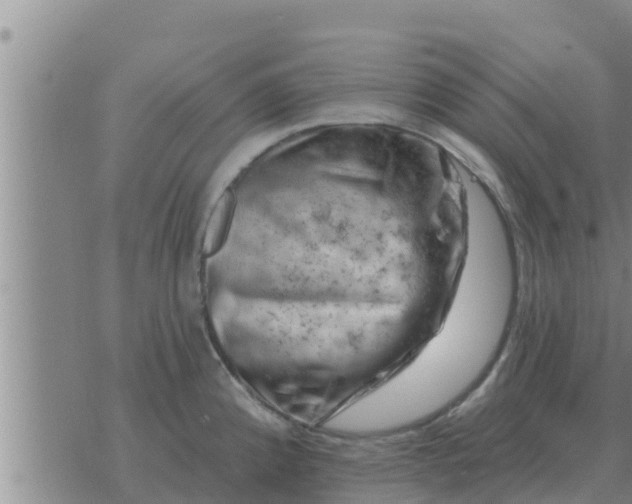 X0000074341192200609082049