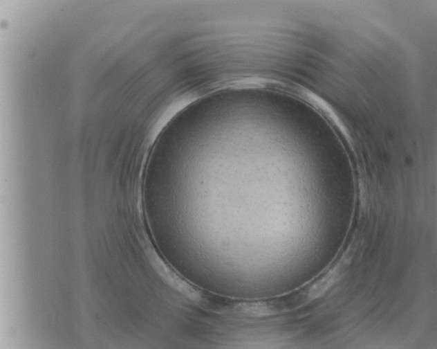 X0000074341194200609082049