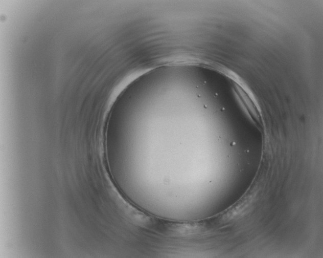 X0000074341195200609082049