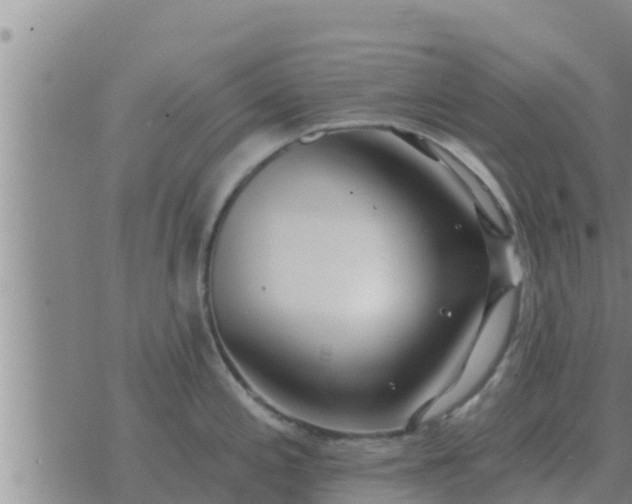 X0000074341197200609082049