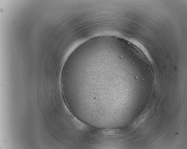 X0000074341199200609082049