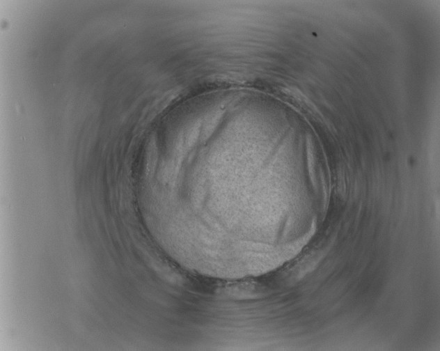 X0000074341201200609082048