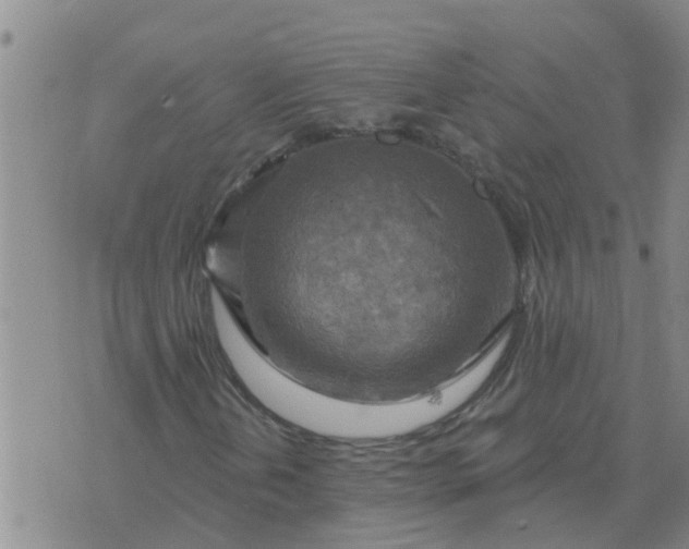 X0000074341202200609082048