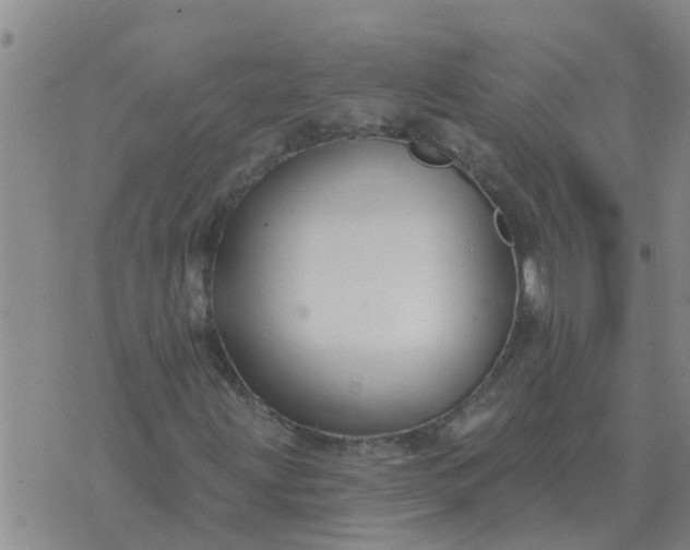 X0000074341203200609082048