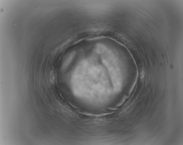 X0000074341204200609082048