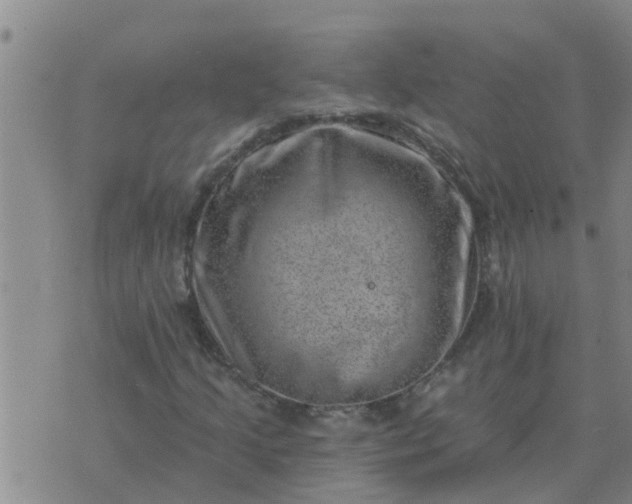 X0000074341205200609082048