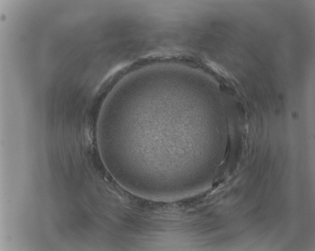 X0000074341206200609082048