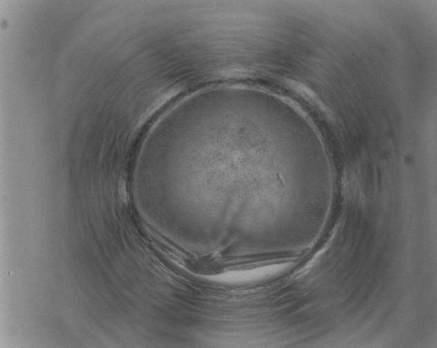 X0000074341209200609082048