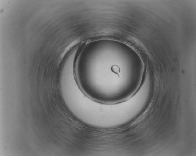 X0000074341210200609082048