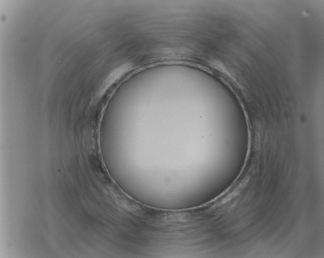 X0000074341211200609082049