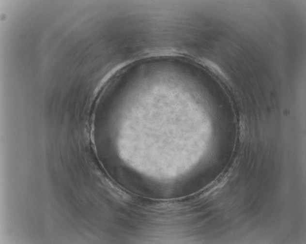 X0000074341212200609082049