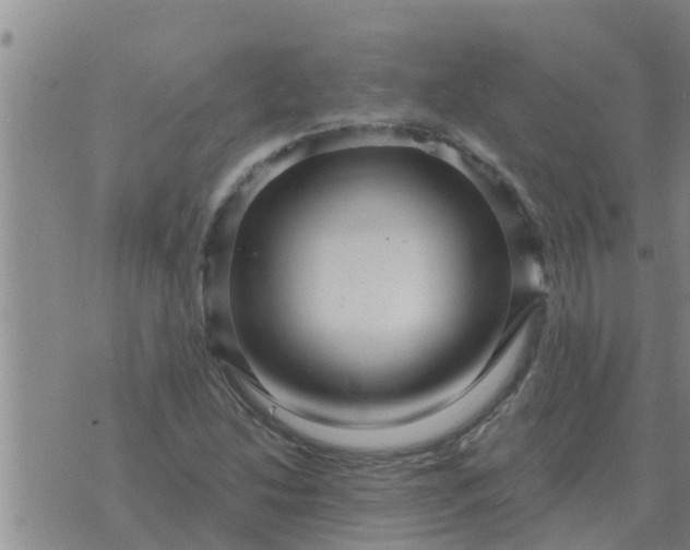 X0000074341214200609082049