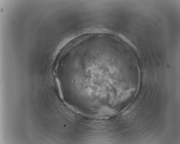 X0000074341215200609082049