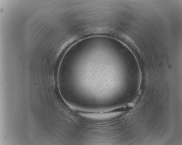 X0000074341218200609082049