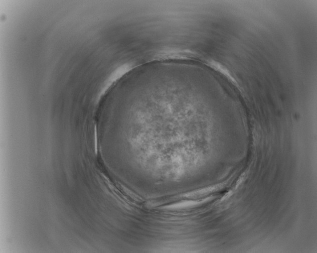 X0000074341219200609082049