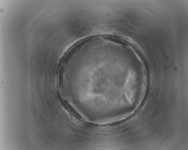 X0000074341220200609082049