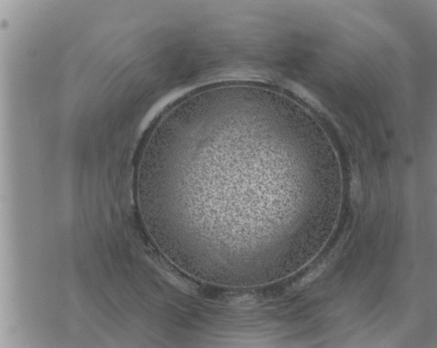 X0000074341222200609082049