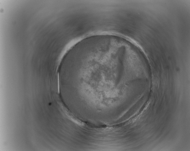 X0000074341223200609082049