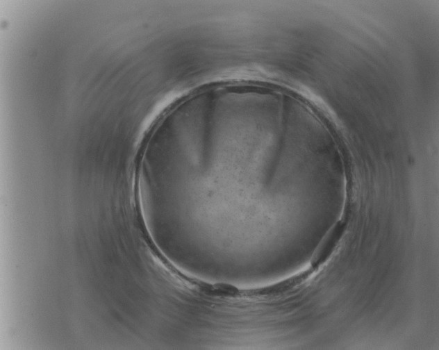 X0000074341224200609082049