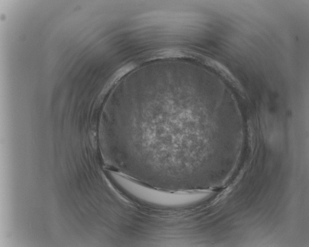 X0000074341225200609082049